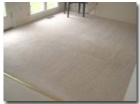 AFTER receiving the Blue Jay Carpet Cleaning Treatment | Double Oak, Texas