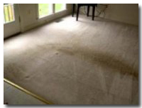 BEFORE receiving the Blue Jay Carpet Cleaning Treatment | Grapevine, Texas