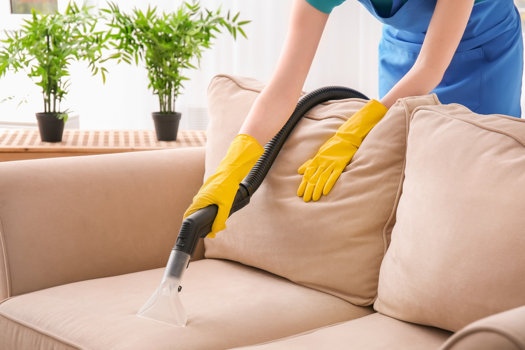 Flower Mound Upholstery Cleaning
