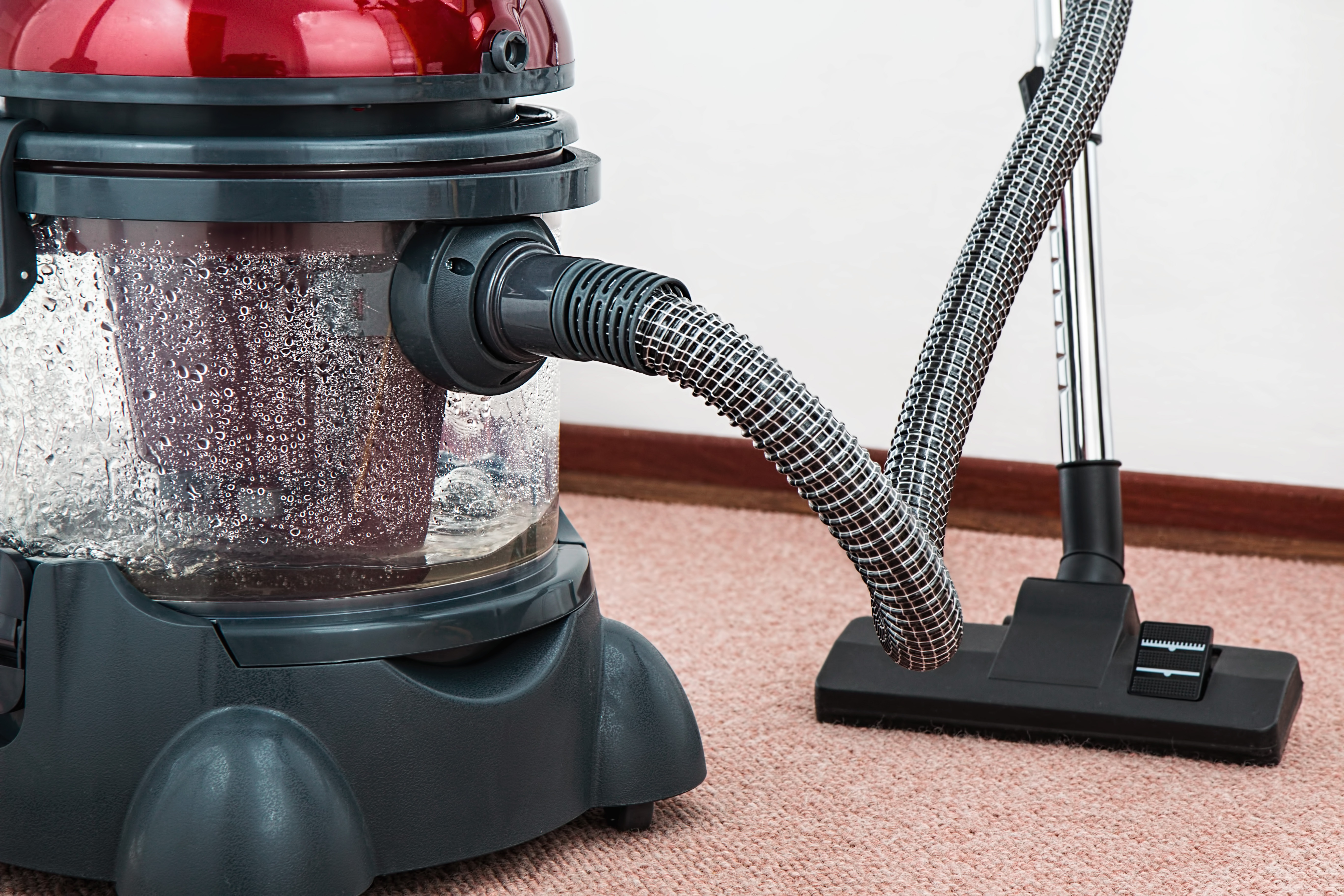 vacuum and carpet cleaner