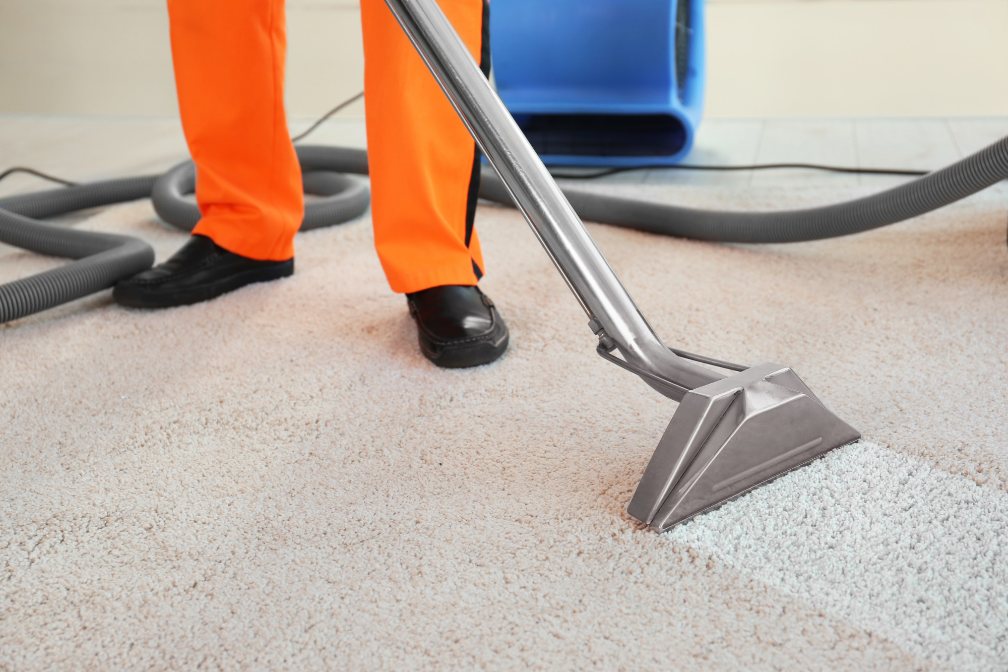 top-5-signs-you-need-a-professional-carpet-cleaning