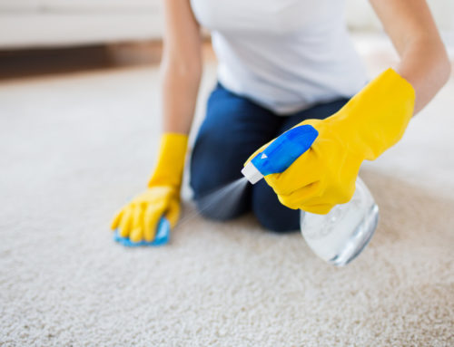 5 Reasons to Steam Clean Carpet: A Homeowner’s Guide
