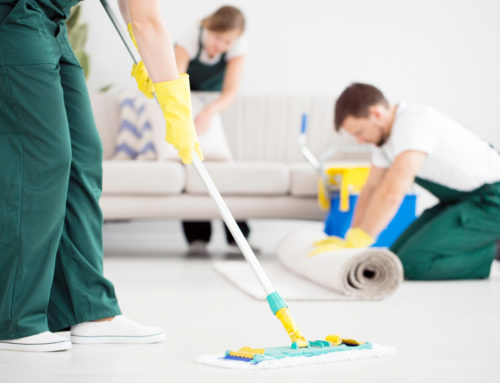 The Benefits of Using a Carpet and Upholstery Cleaner Service
